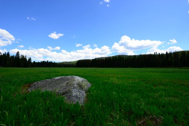 In the middle of the meadow, a massive rock.
