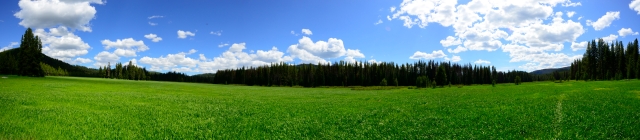 A spectacular meadow in the middle of the forest on the Idaho-Montana border.